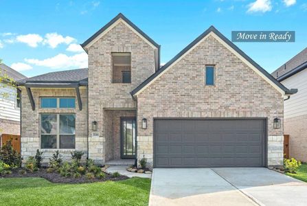 New construction Single-Family house 3244 Stingray Cove Dr, Katy, TX 77493 plan The Newport - image