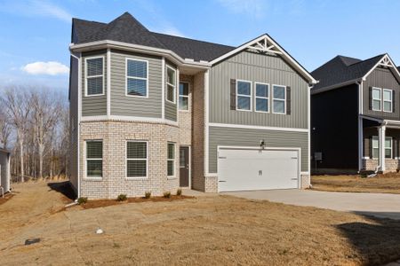 New construction Single-Family house 437 Haddon Trl, Woodruff, SC 29388 plan Jodeco 2SB - image