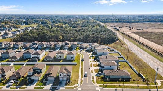 New construction Single-Family house 11395 Lavender Loop, Spring Hill, FL 34609 Annapolis- photo 32 32