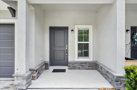 New construction Single-Family house 10821 Quickwater Ct, Riverview, FL 33569 - image 18