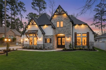 New construction Single-Family house 258 Pinerock Ln, Montgomery, TX 77356 - image