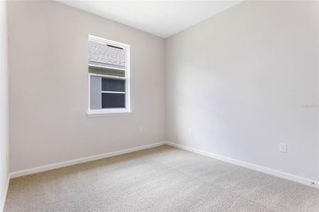 New construction Single-Family house 3791 Watercliff Cir, Grand Island, FL 32735 - image 12