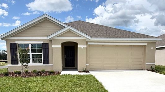 New construction Single-Family house Newberry, FL 32669 plan Aria - image