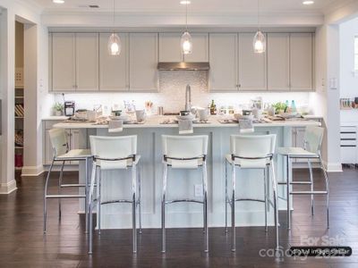 New construction Single-Family house 2008 Thatcher Wy, Fort Mill, SC 29715 - image 4