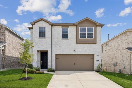 New construction Single-Family house 1009 Santa Lucia Dr, Anna, TX 75409 - image