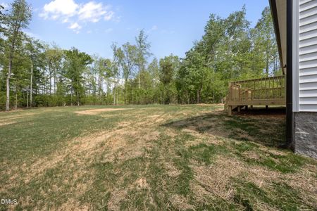New construction Single-Family house 218 Fishermans Point Rd, Roxboro, NC 27574 - image