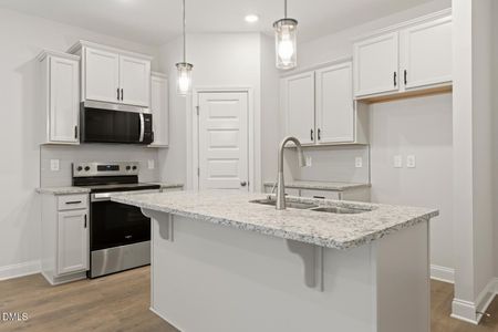 New construction Townhouse house 4407 Dominion Crest Dr, Apex, NC 27523 - image