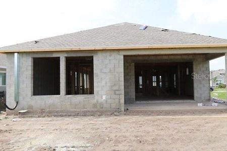 New construction Single-Family house 11858 Richmond Trl, Parrish, FL 34219 plan The Crestview - image