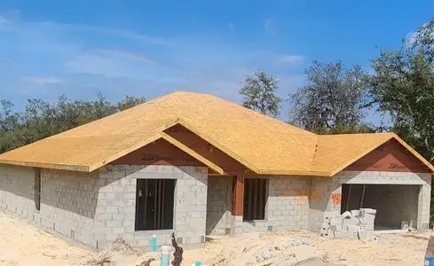 New construction Single-Family house 411 Caribbean Ct, Poinciana, FL 34759 - image