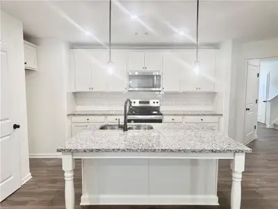 New construction Townhouse house 20 Silver Leaf Ln, Dawsonville, GA 30534 - image 4