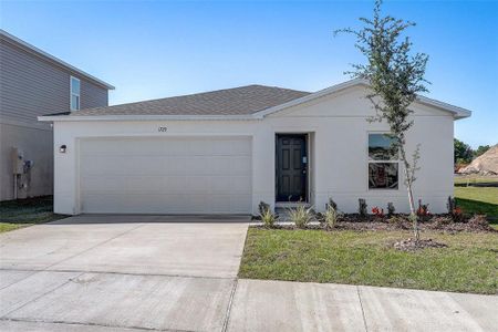 New construction Single-Family house 2371 Oklahoma Dr, Sumterville, FL 33585 plan ALTON - image