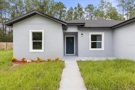 New construction Single-Family house 6211 Sw 144Th, Ocala, FL 34473 - image