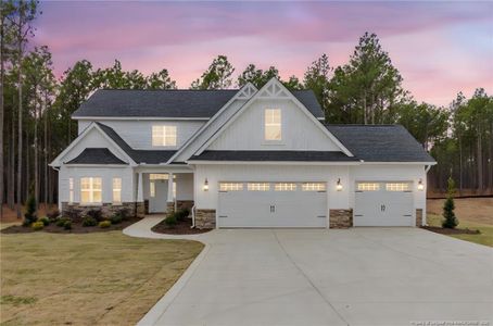 New construction Single-Family house 1117 Wolf Pine Ct, Fayetteville, NC 28311 - image