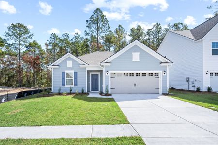 New construction Single-Family house 378 Monterey Lp, Richmond Hill, GA 31324 plan Morgan - image