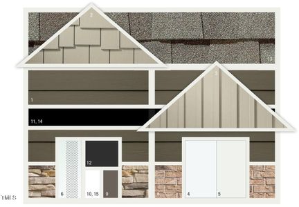 New construction Single-Family house 776 Old Station Pointe, Angier, NC 27501 plan Wynwood - image