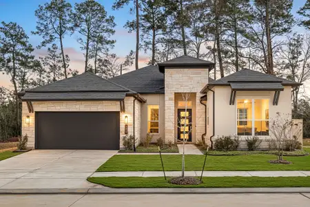 New construction Single-Family house 306 Eastern Towhee Ct, Magnolia, TX 77354 plan Leon - image