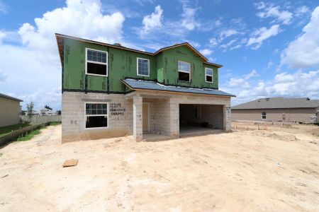 New construction Single-Family house 12219 Hilltop Farms Dr, Dade City, FL 33525 Malibu- photo 31 31