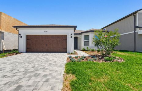 New construction Single-Family house 33383 Herds Hallow Wy, Wesley Chapel, FL 33545 plan Medina - image
