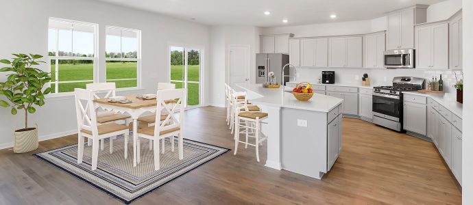 New construction Single-Family house 1008 Wild Roam Run, Summerville, SC 29485 plan Georgetown - image