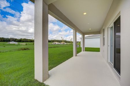 New construction Single-Family house 33432 Seattle Slew Dr, Sorrento, FL 32776 The Chester- photo 11 11