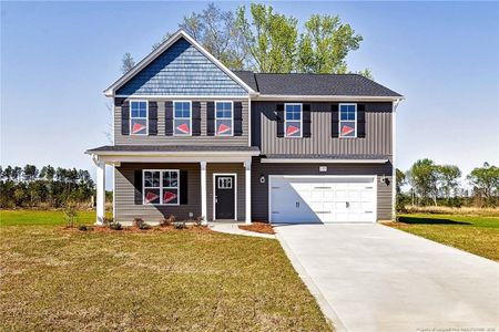 New construction Single-Family house 199 Palomo Pl, Raeford, NC 28376 plan Ashemore - image