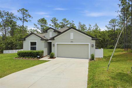 New construction Single-Family house 39 Milbark Dr, Homosassa, FL 34446 - image