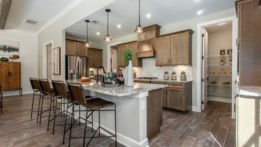 Cresswind Georgia at Twin Lakes by Kolter Homes in Hoschton - photo 33 33