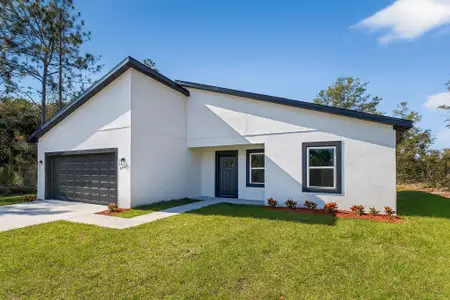 New construction Single-Family house 8002 N Maltese Dr, Dunnellon, FL 34433 - image