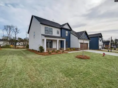 New construction Single-Family house 28 Elk Run Ct, Chapin, SC 29036 plan Sonoma II - image