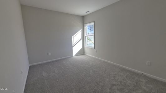 New construction Single-Family house 313 Bonsai Wy, Four Oaks, NC 27524 - image 10