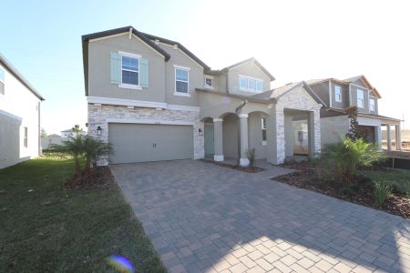 New construction Single-Family house 38326 Tobiano Loop, Dade City, FL 33525 Casanova- photo 134 134