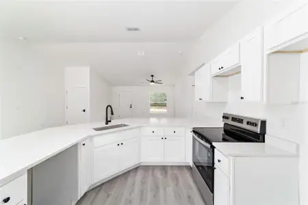 New construction Single-Family house 2056 Sw Sands Pt, Dunnellon, FL 34431 - image 3