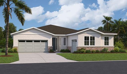 New construction Single-Family house 2005 Hammock Trace Dr, Parrish, FL 34219 - image