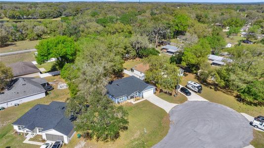 New construction Single-Family house 804 Deep Wood Ct, Fruitland Park, FL 34731 null- photo 3 3