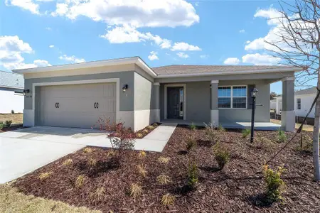 New construction Single-Family house 10339 Sw 105Th Ter, Ocala, FL 34481 - image