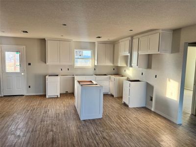 New construction Single-Family house 1017 Morgan Ct, Springtown, TX 76082 - image 5