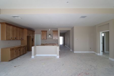 New construction Single-Family house 5691 Maydale Ave, Wesley Chapel, FL 33545 Santa Monica- photo 82 82