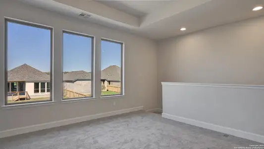 New construction Single-Family house 9931 Heeler Hand Trl, San Antonio, TX 78254 2444W- photo 17 17