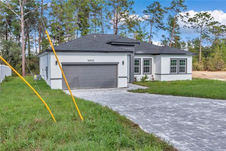 New construction Single-Family house 16935 Sw 50Th Cir, Ocala, FL 34473 - image
