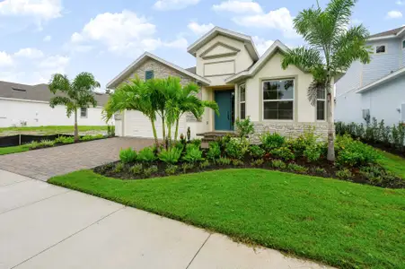 New construction Single-Family house 1033 Signet Dr, Apollo Beach, FL 33572 plan Hampton - image