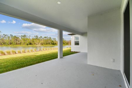 New construction Single-Family house 7819 Notched Pine Bnd, Wesley Chapel, FL 33545 Windsor- photo 145 145