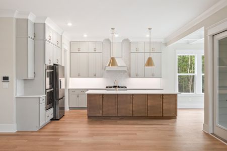 New construction Single-Family house 2508 Annie Aiden Ln, Charleston, SC 29414 plan Davis - image 12