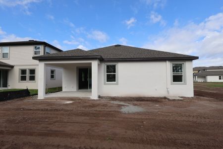 New construction Single-Family house 7895 Painted Sky Place, Land O Lks, Land O' Lakes, FL 34637 plan Newport II - image
