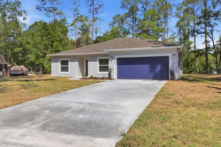 New construction Single-Family house 8760 N Vince Dr, Dunnellon, FL 34434 - image