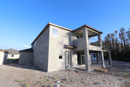 New construction Single-Family house 20131 Oriana Loop, Land O' Lakes, FL 34638 Sonoma II- photo 106 106