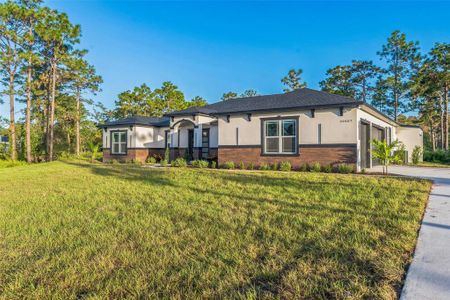 New construction Single-Family house 20407 Racine Street, Orlando, FL 32833 Chelsea- photo 16 16