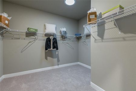 New construction Single-Family house 704 Estates Blvd, Tarpon Springs, FL 34688 - image 19