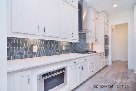 New construction Single-Family house 1069 Sage Pine Cir, Clover, SC 29710 - image 11