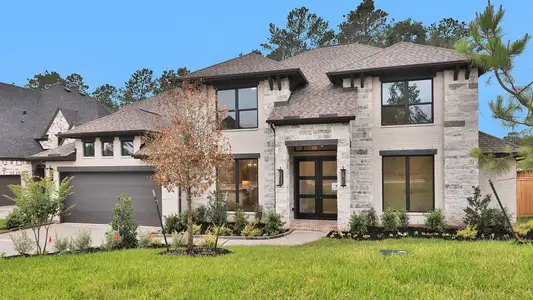 New construction Single-Family house 143 Pinehill Trails Ct, Willis, TX 77318 plan 3917W - image