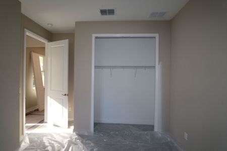 New construction Single-Family house 20125 Oriana Loop, Land O' Lakes, FL 34638 Santina II- photo 148 148